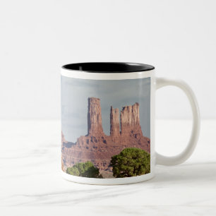 Taza Bicolor EE. UU., Utah, Parque Tribal Navajo del Valle de l