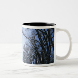 Taza Bicolor EE. UU., Utah, Salt Lake City, Liberty Park,
