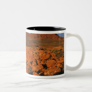 Taza Bicolor EE. UU., Utah, Valle del Monumento. Luz del atarde