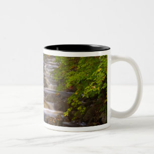 Taza Bicolor EE. UU., Vermont, East Arlington, Corrientes fluvi