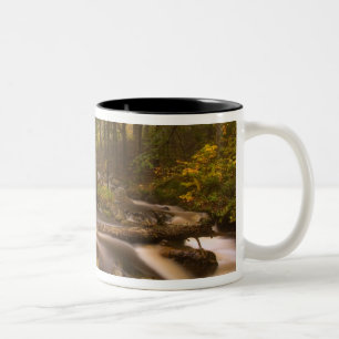 Taza Bicolor EE. UU., Vermont, East Arlington, Corrientes fluvi