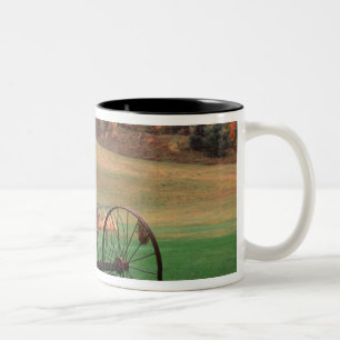 Taza Bicolor EE. UU., Vermont, Granja.
