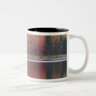 Taza Bicolor EE. UU., Vermont, lago McAllister, cerca de Hazens