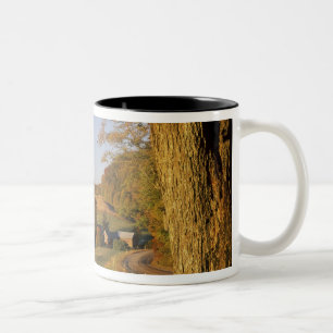 Taza Bicolor EE. UU., Vermont, sur de Woodstock, Jenne Farm en