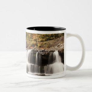 Taza Bicolor EE. UU., Virginia Occidental, Clifftop. Parque est