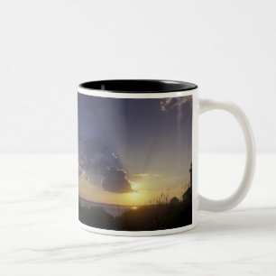 Taza Bicolor EE. UU., Washington, cerca de Port Townsend. Point