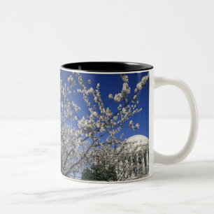 Taza Bicolor EE. UU., Washington D. C. Festival de la Flor de C