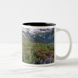 Taza Bicolor EE. UU., Washington, Montañas Cascade, Norte