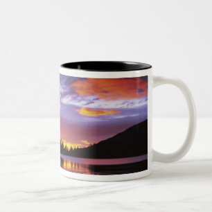 Taza Bicolor EE. UU., Washington, Parque Nacional Mt. Rainier,