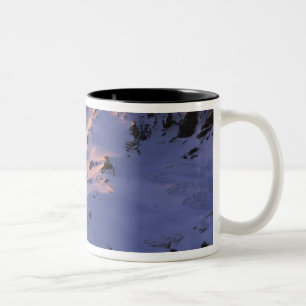 Taza Bicolor EE. UU., Washington, Parque Nacional Mt. Rainier