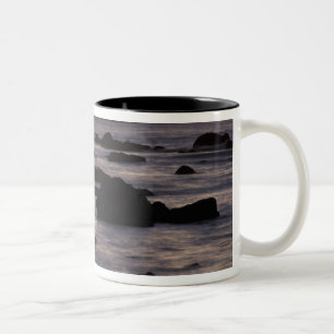 Taza Bicolor EE. UU., Washington, Parque Nacional Olímpico, Sea