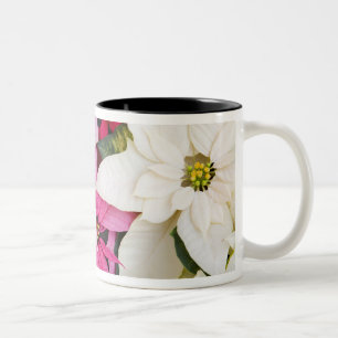 Taza Bicolor EE.UU., Washington, Woodinville, la guardería de M