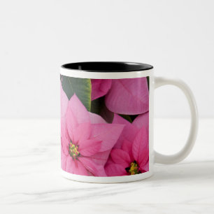 Taza Bicolor EE. UU., Washington, Woodinville, Molbak's Nursery