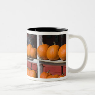 Taza Bicolor EE. UU., WISCONSIN, Washburn: Orilla del lago Supe