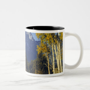 Taza Bicolor EE. UU., Wyoming, Parque Nacional Grand Teton. Tet