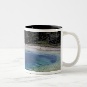 Taza Bicolor EE. UU., Wyoming, Parque Nacional Yellowstone. 2