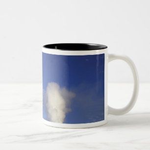 Taza Bicolor EE.UU., Wyoming. Parque Nacional Yellowstone. Viej