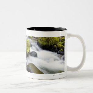 Taza Bicolor El agua que fluía por el musgo cubrió rocas en u