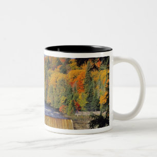 Taza Bicolor El Alto Tahquamenón cae en la UP Michigan en oto
