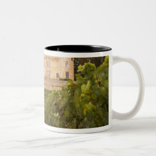 Taza Bicolor El antiguo castillo medieval de Rully en la Costa