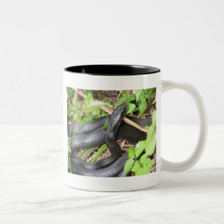 Taza Bicolor El asolear de la serpiente del corredor negro