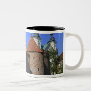 Taza Bicolor El Barbacán y la Iglesia Paulina, Varsovia,