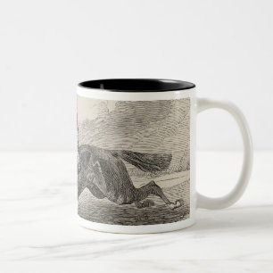 Taza Bicolor El Baron', el ganador del gran St. Leger