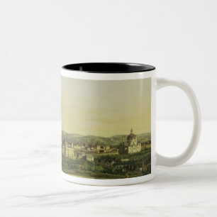 Taza Bicolor El belvedere de Gesehen, Viena