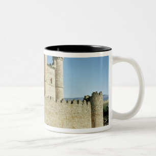 Taza Bicolor El castillo