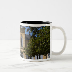 Taza Bicolor El edificio principal del castillo, renovado por