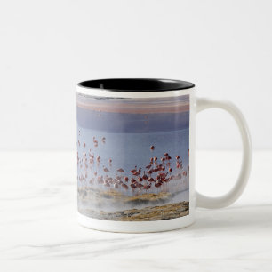 Taza Bicolor El flamenco de James, jamesi de Phoenicoparrus