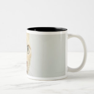 Taza Bicolor El gato con los ojos se abre de par en par