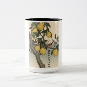 Taza Bicolor El hermoso limonero