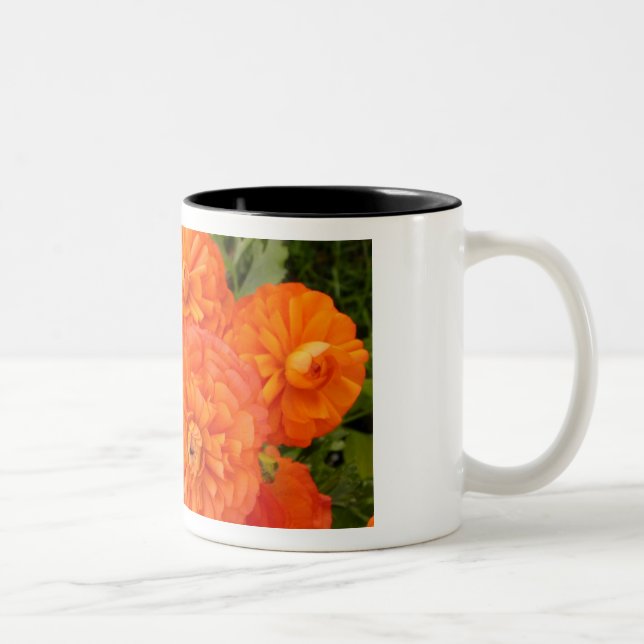 Taza Bicolor El jardín de la amistad (Derecha)