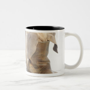Taza Bicolor el jugar, amistoso, curiosidad