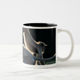 Taza Bicolor El jugar de los monos