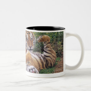 Taza Bicolor El jugar de los tigres de Bengala