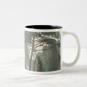 Taza Bicolor El laberinto o el belvedere del DES de Jardin