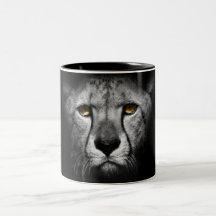 El leopardo, blanco y negro, impresionante