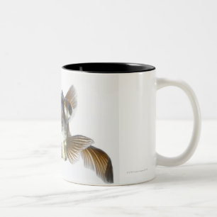 Taza Bicolor El negro amarra el goldfish (el auratus del