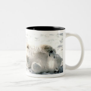 Taza Bicolor El oso polar Cub asalta