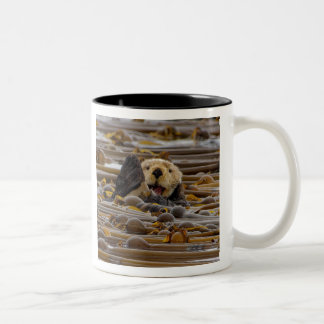 Taza Bicolor El Otter marino pequeño