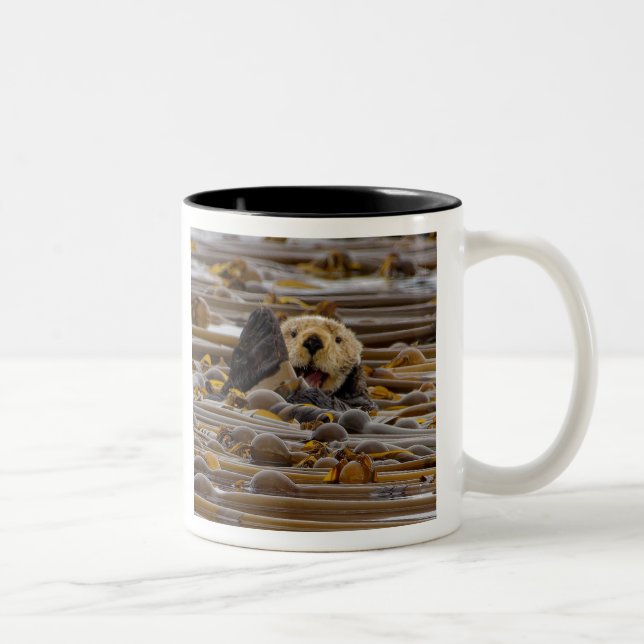 Taza Bicolor El Otter marino pequeño (Derecha)
