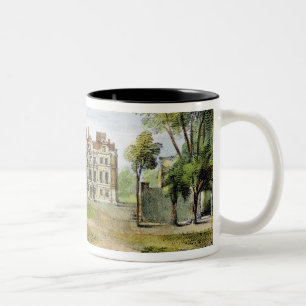 Taza Bicolor El palacio al sur delantero, viejo, Kew cultiva un