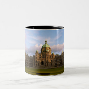 Taza Bicolor El parlamento que construye Victoria asalta A.C.