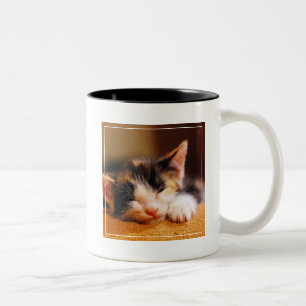 Taza Bicolor El pequeño dormir del gatito