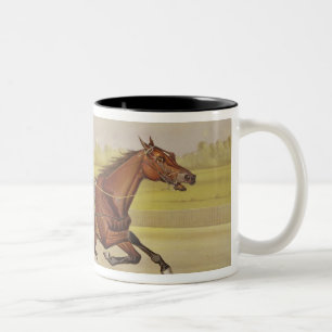 Taza Bicolor El rey del césped, "St. Julien", conducido por