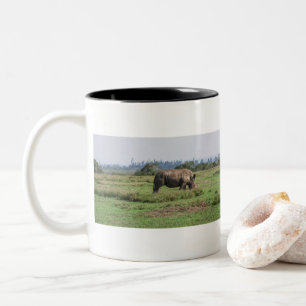 Taza Bicolor El rinoceronte blanco en tierras de hierba african