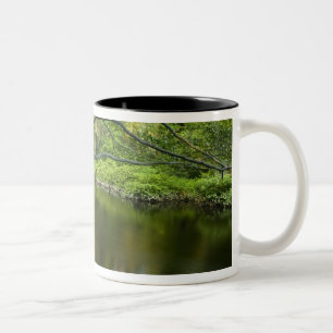 Taza Bicolor El río Taunton en Bridgewater, 2