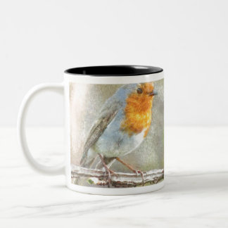 Taza Bicolor El Robin Es Una Acuarela Gabriel